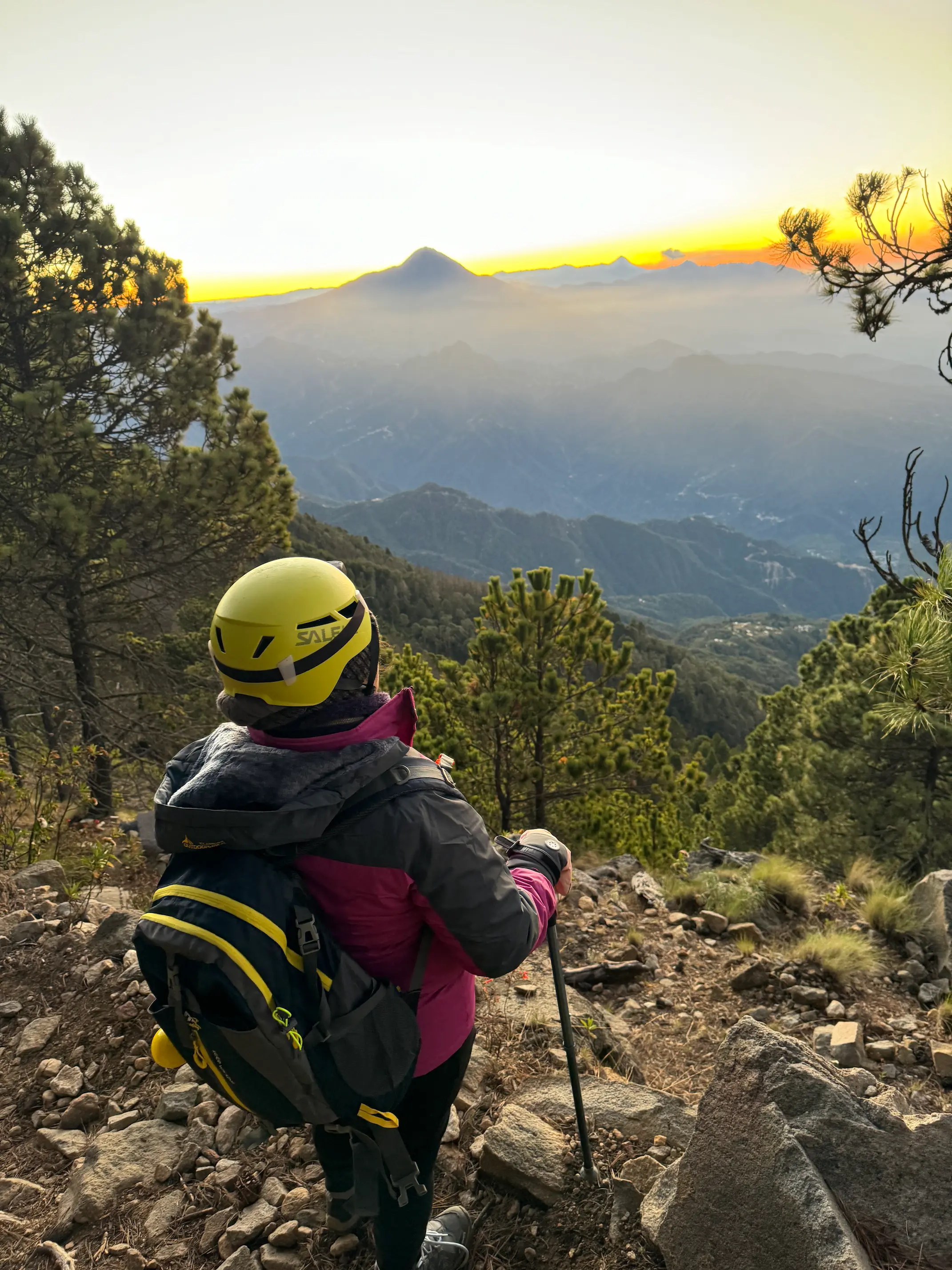 ¡Descubre Nuestra Nueva Línea!